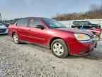 2005 CHEVROLET MALIBU