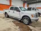 2009 FORD F-150