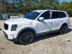 2023 KIA Telluride