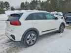 2022 KIA Niro