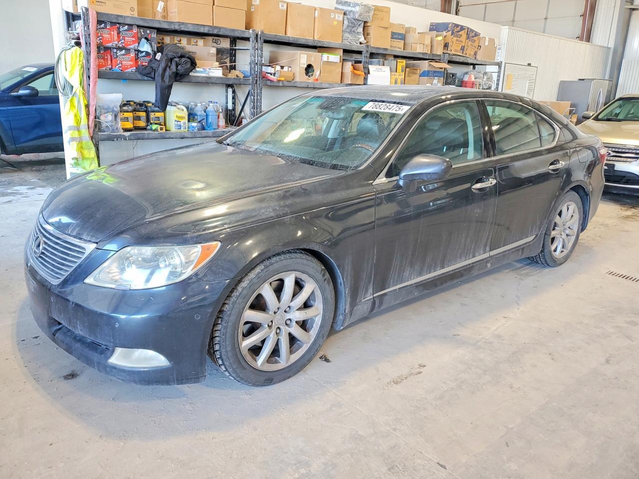 2007 LEXUS LS 460