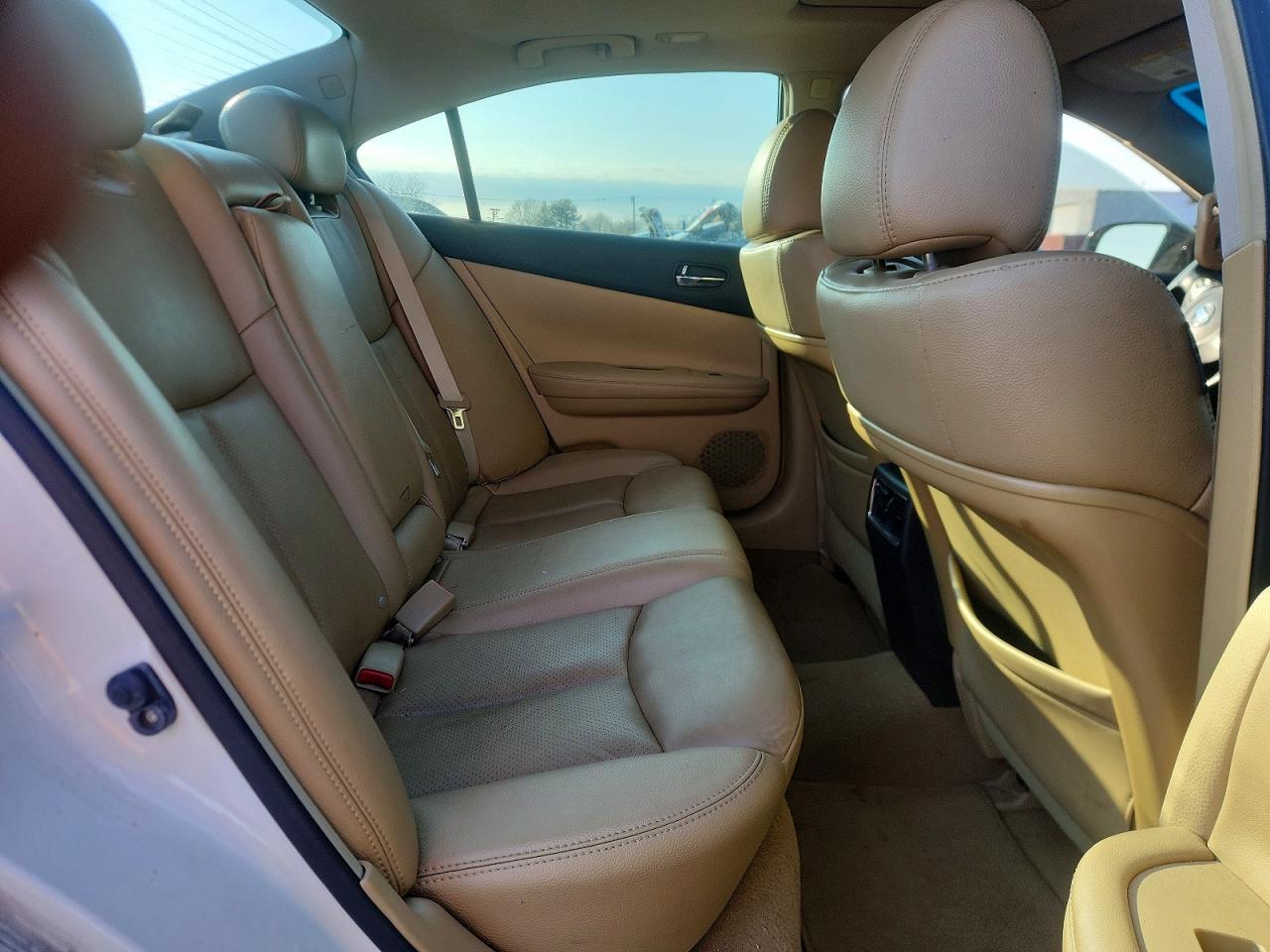 2010 NISSAN Maxima