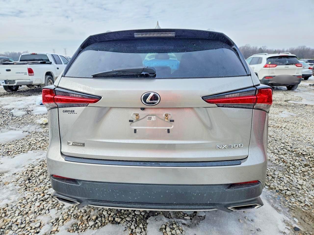 2020 LEXUS NX 300