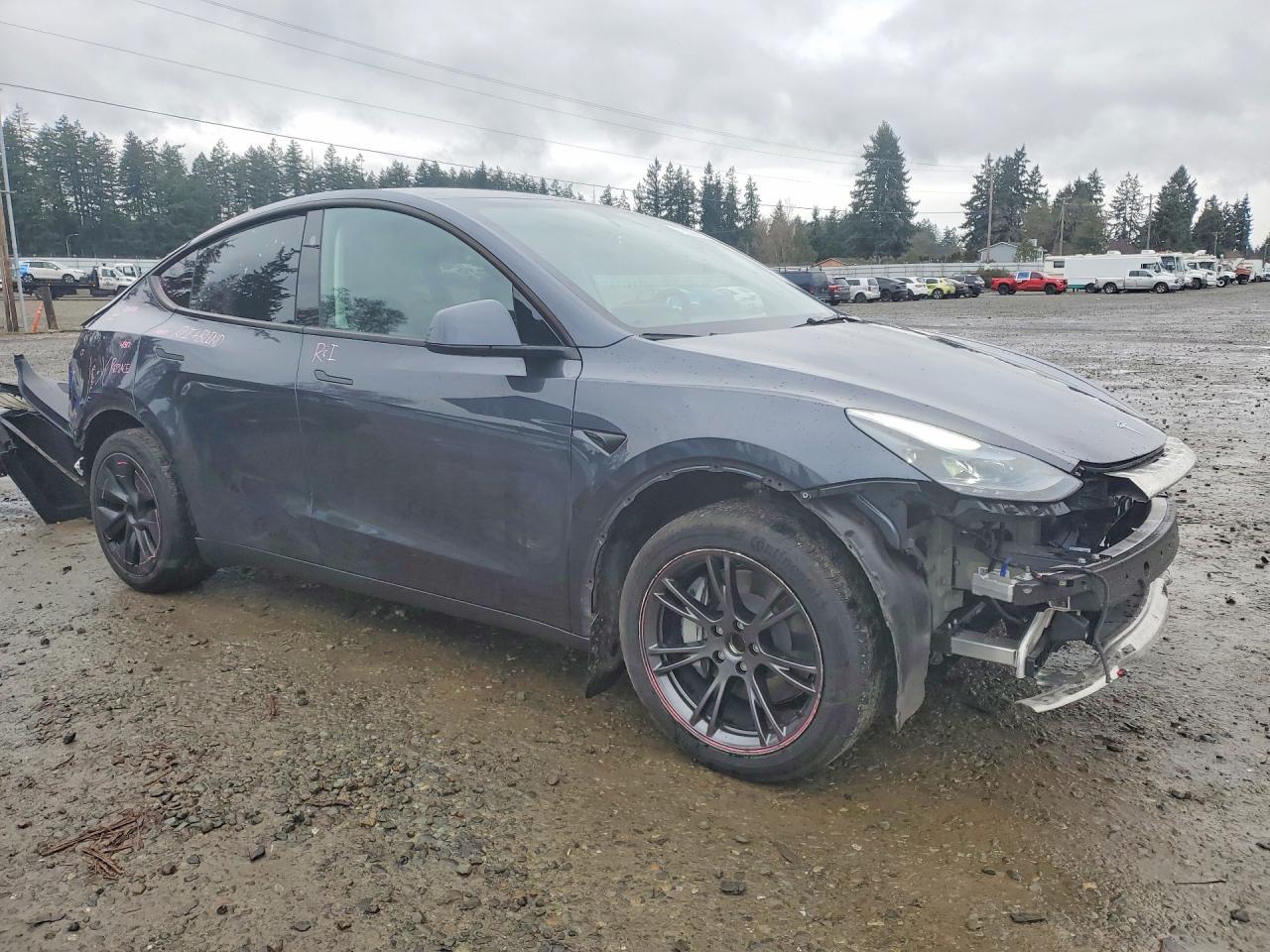 2025 TESLA MODEL Y
