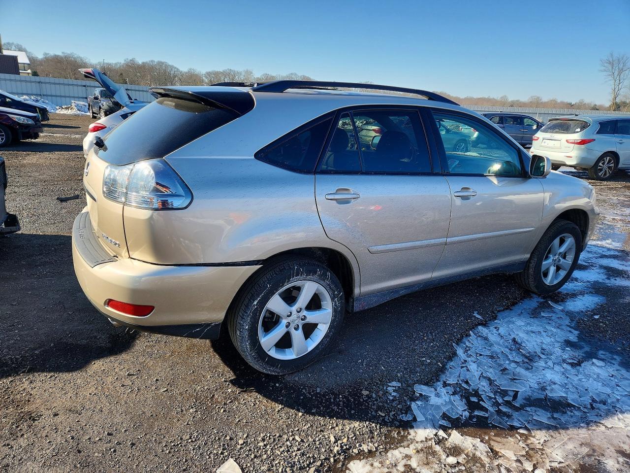 2004 LEXUS Rx 330