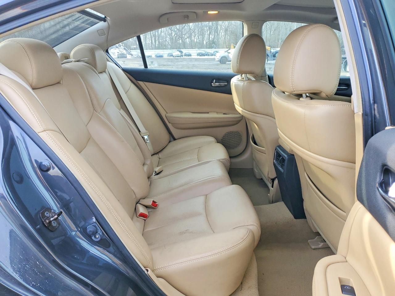 2010 NISSAN Maxima