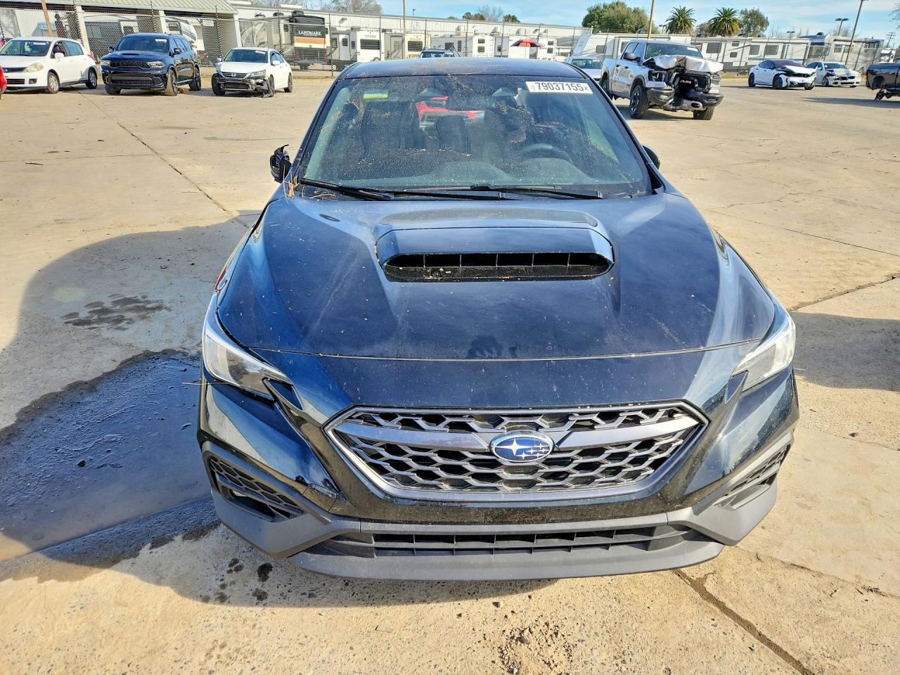 2024 SUBARU WRX