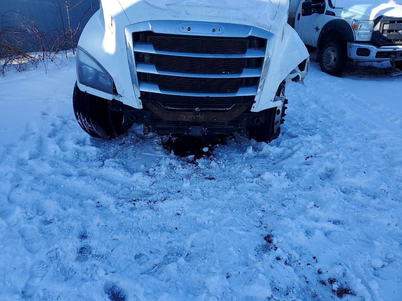 2019 FREIGHTLINER CASCADIA 126
