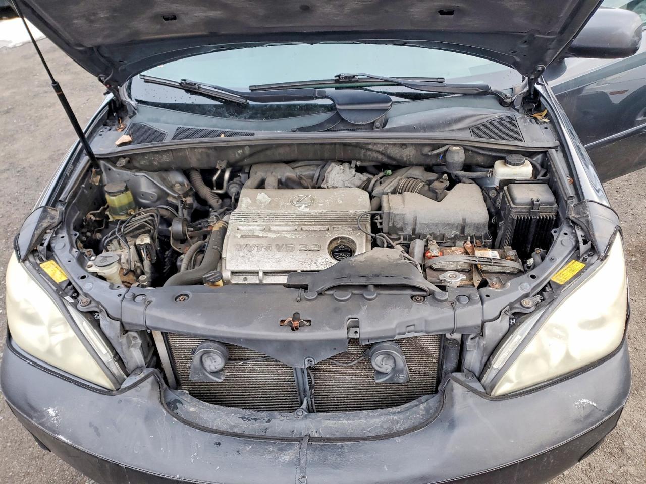 2004 LEXUS Rx 330
