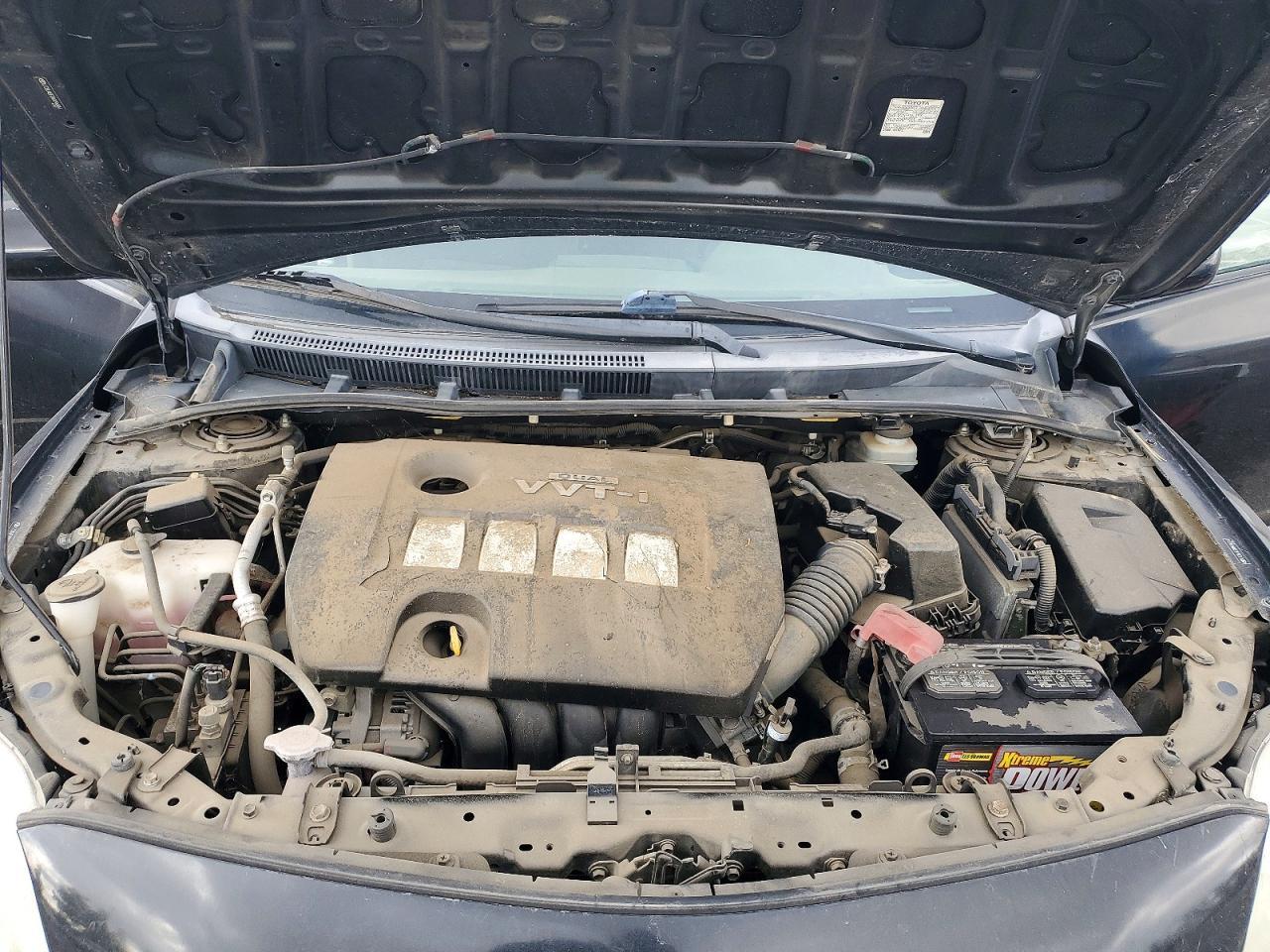 2010 TOYOTA COROLLA
