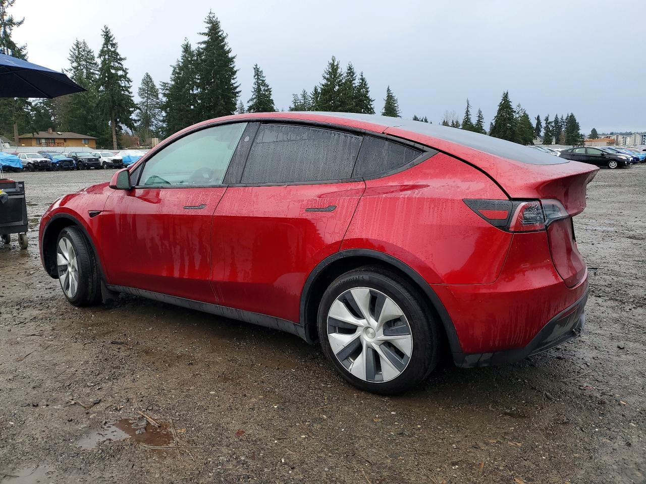 2024 TESLA MODEL Y