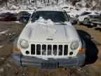 2007 JEEP Liberty