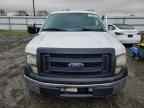 2013 FORD F-150 Lightning