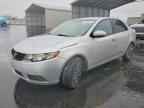 2010 KIA FORTE