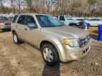 2010 FORD ESCAPE
