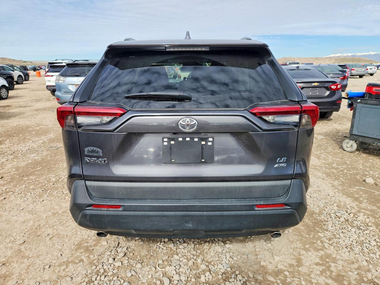 2019 TOYOTA RAV4