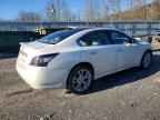 2013 NISSAN Maxima