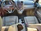 2010 HONDA CR-V