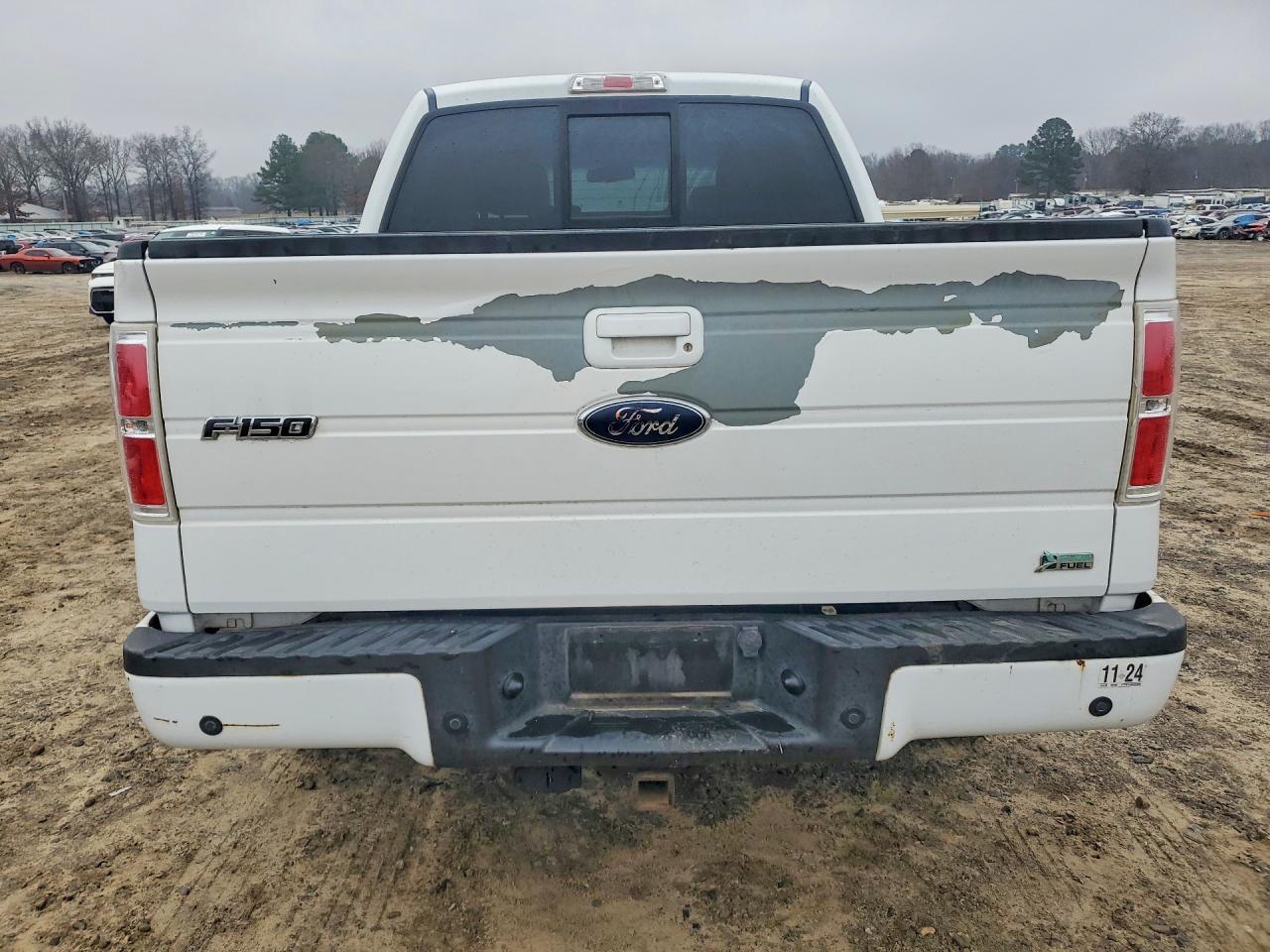 2010 FORD F-150 Lightning