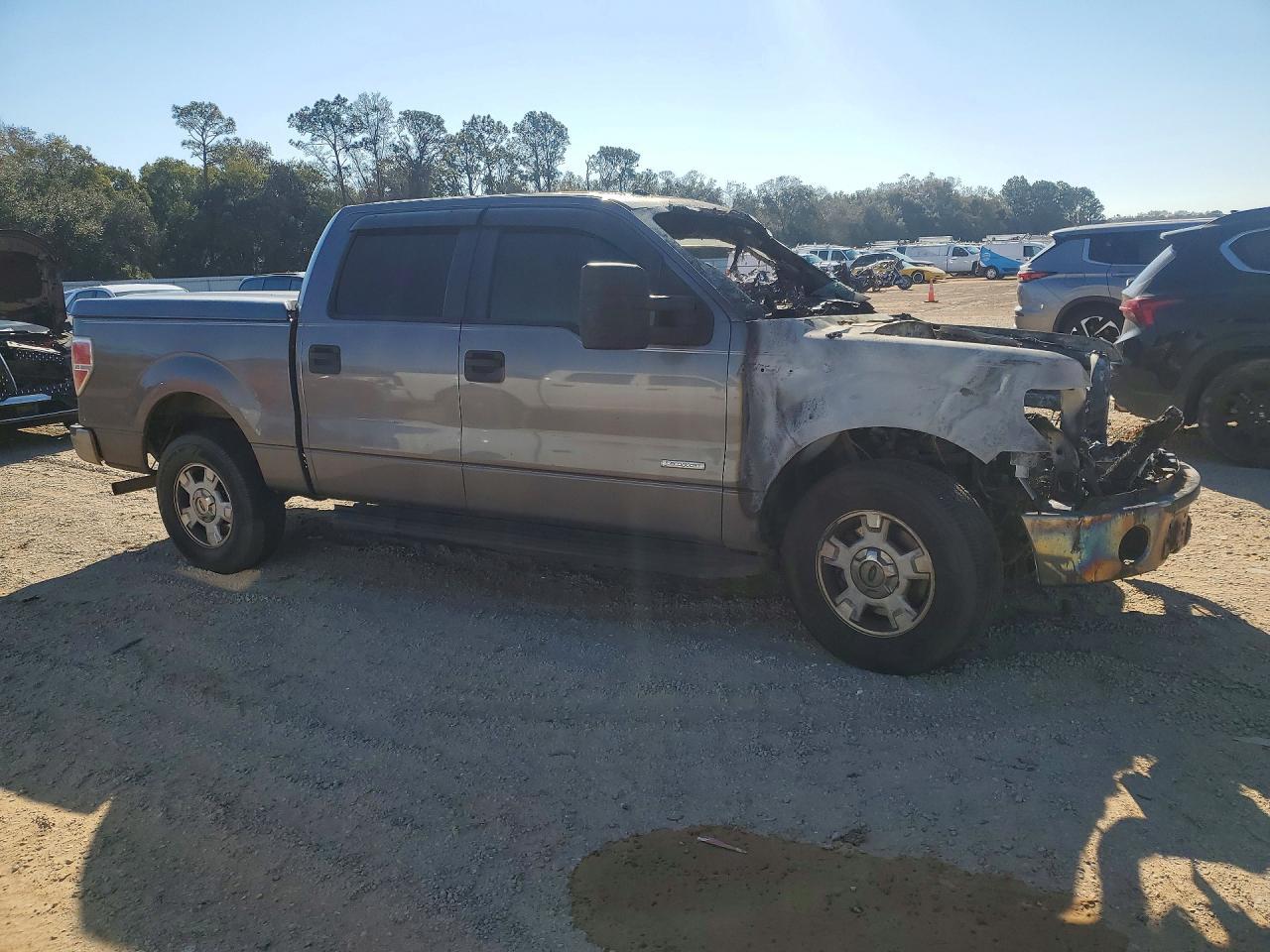 2014 FORD F-150 Lightning