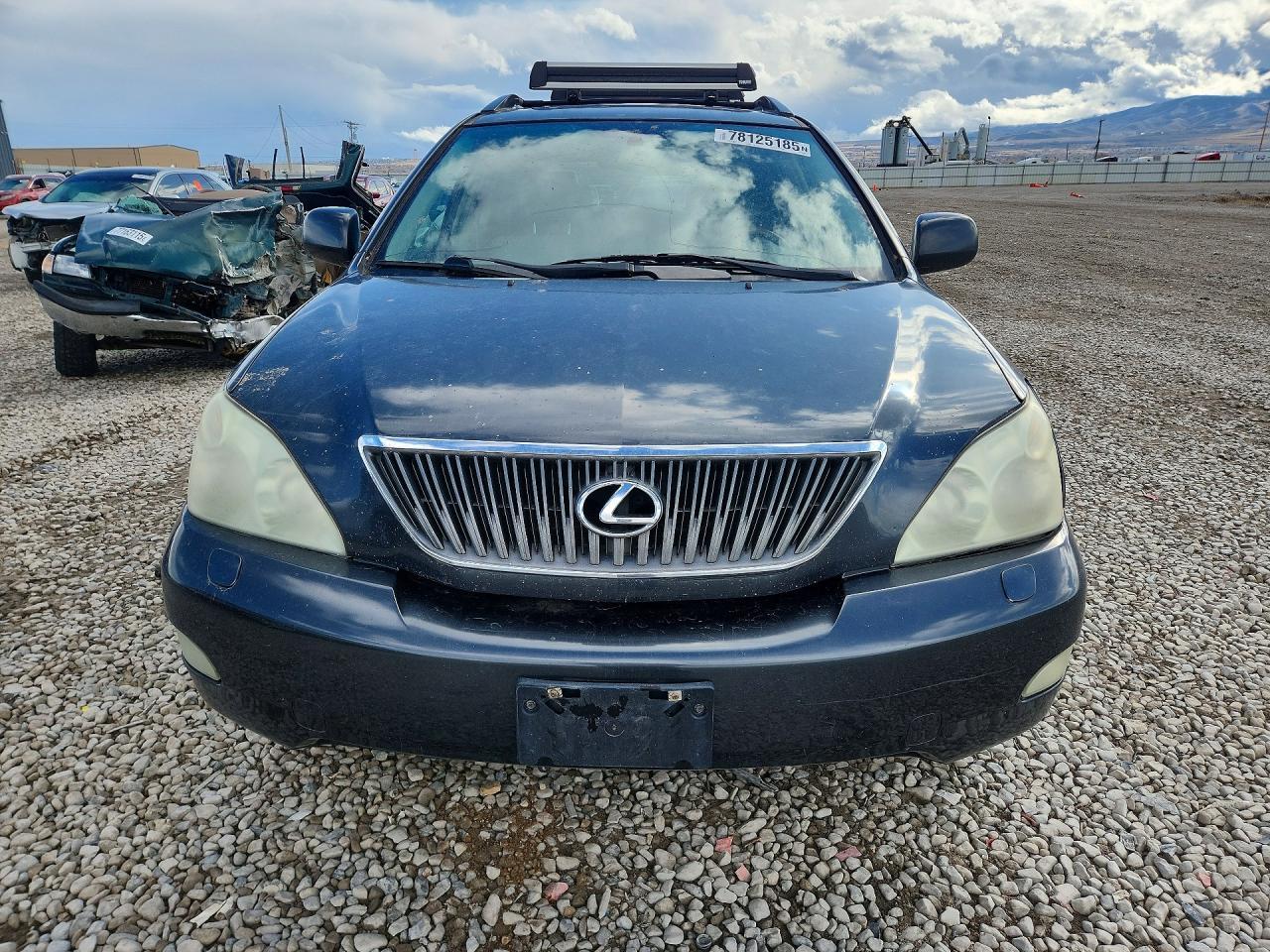 2004 LEXUS Rx 330