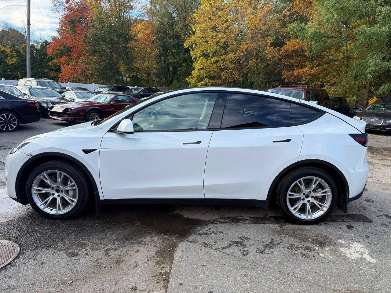 2021 TESLA MODEL Y