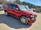 2008 FORD ESCAPE