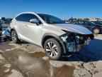 2020 LEXUS NX 300H