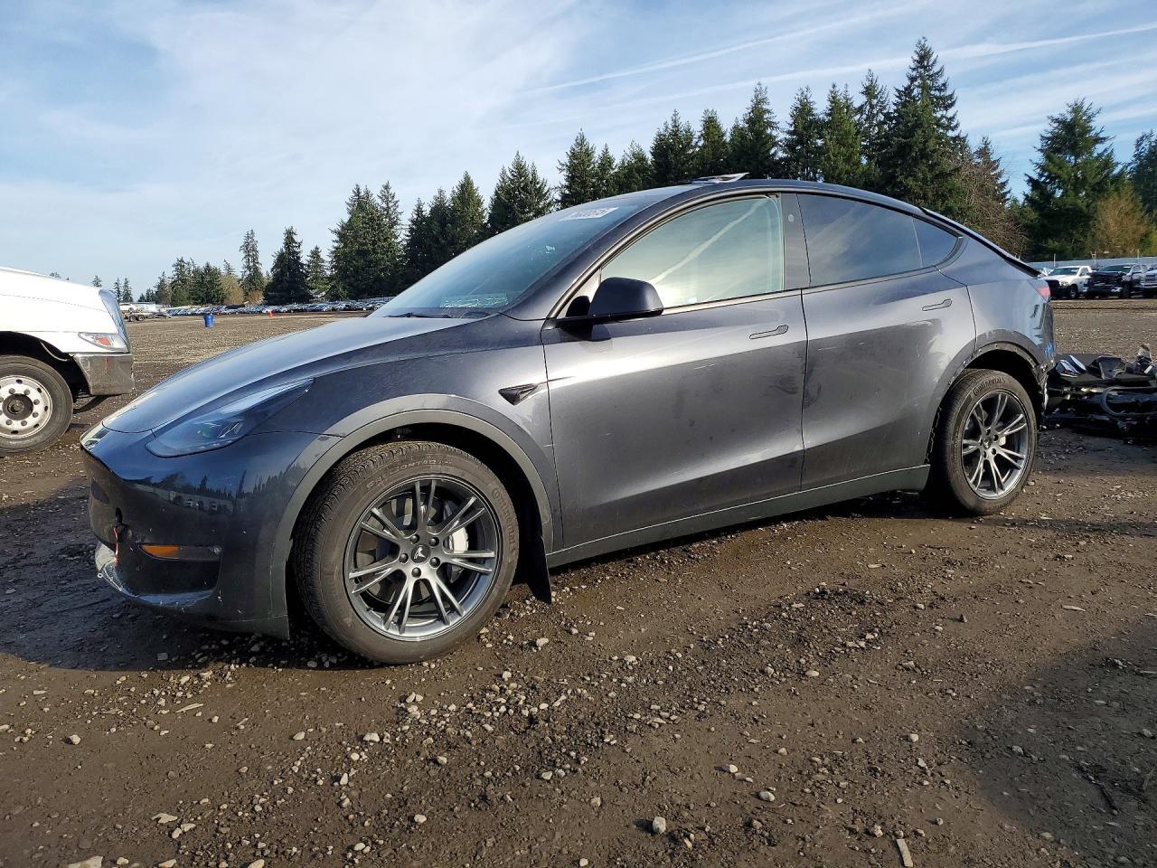 2024 TESLA MODEL Y
