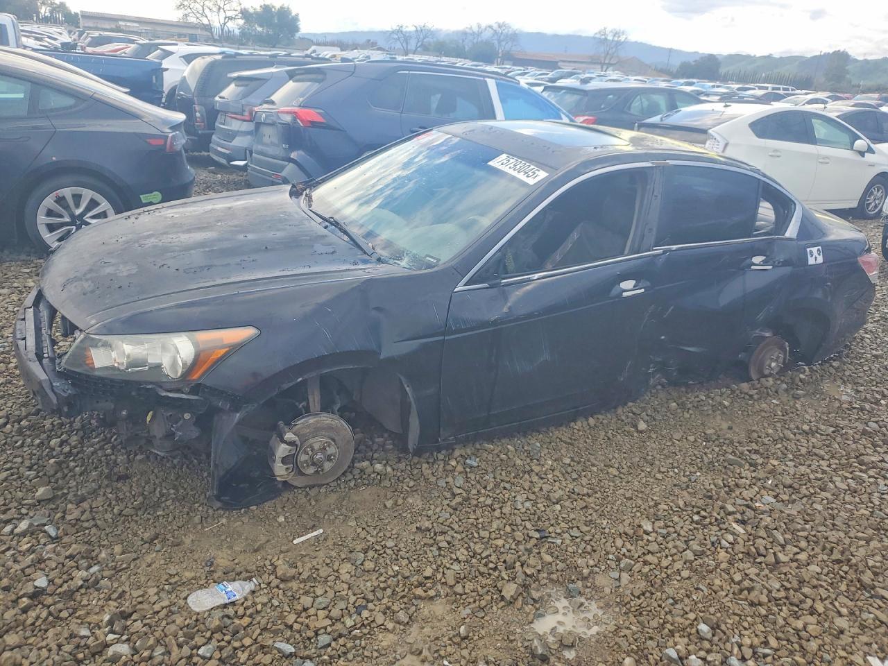 2008 HONDA ACCORD