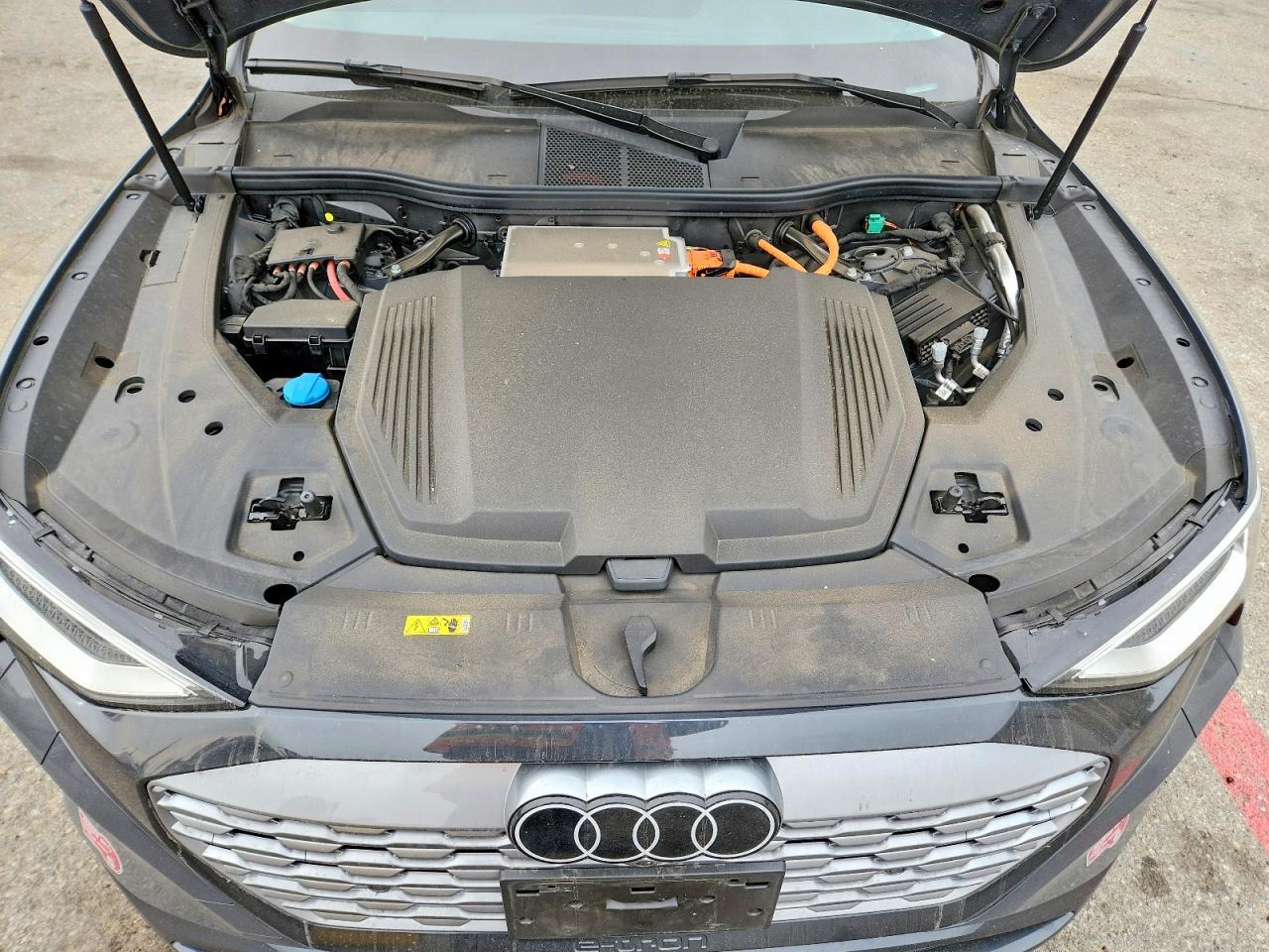 2024 AUDI Q8