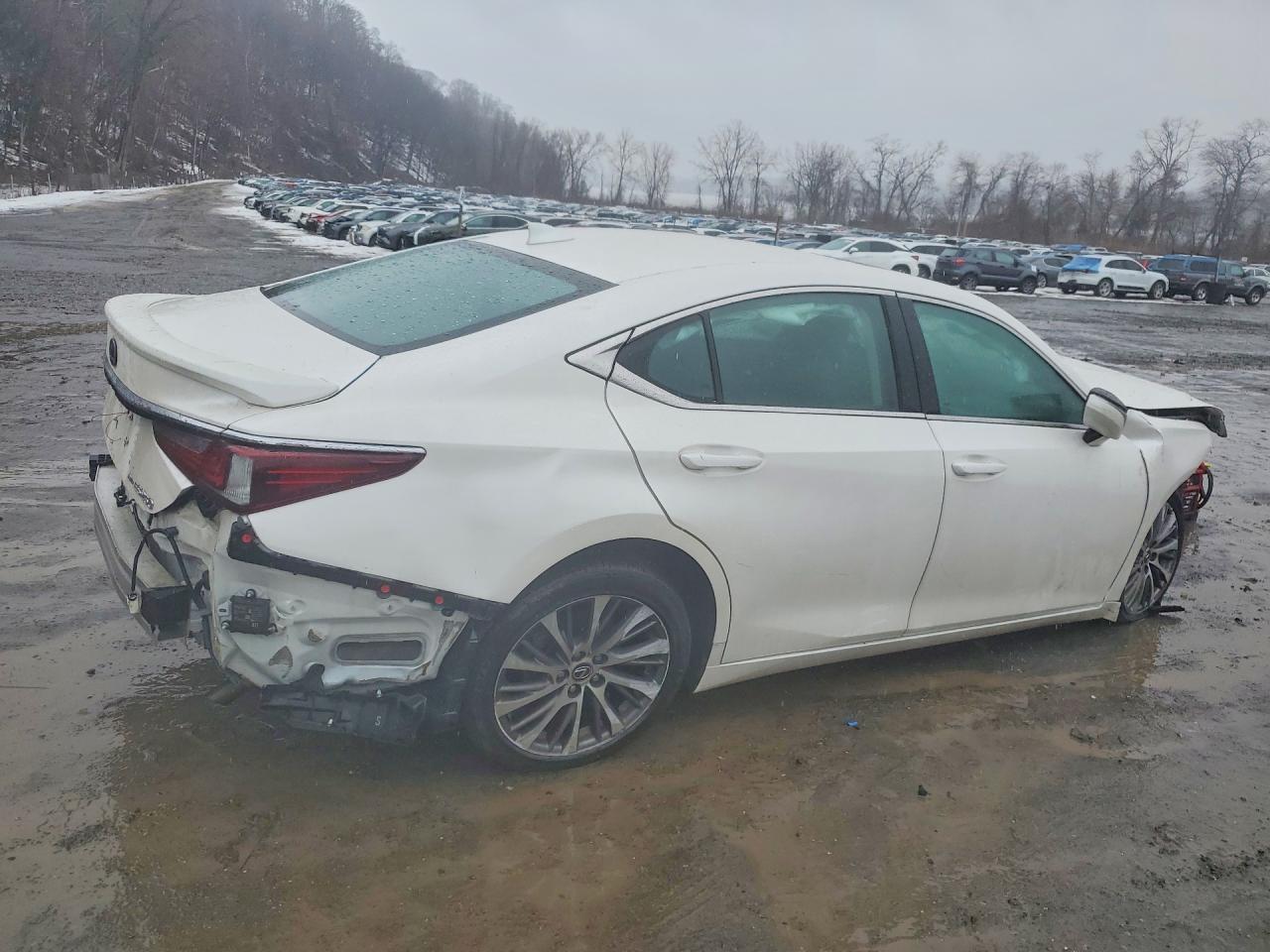 2021 LEXUS ES 250