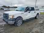 2013 FORD F-150 Lightning