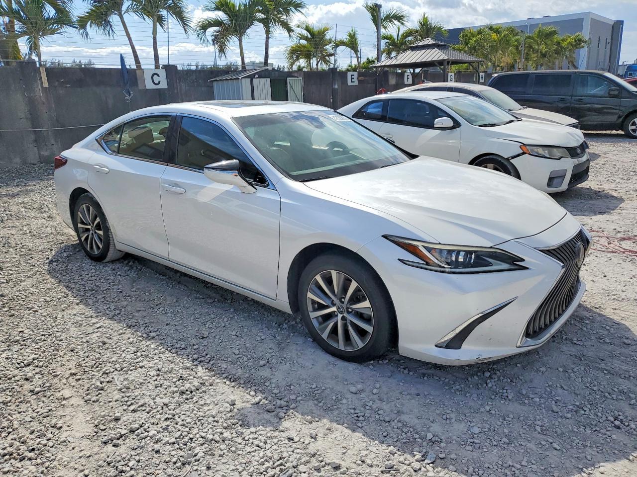 2019 LEXUS ES 350