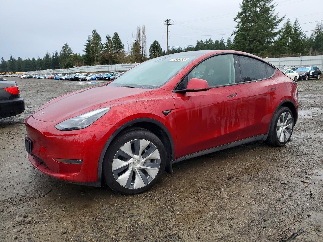2024 TESLA MODEL Y