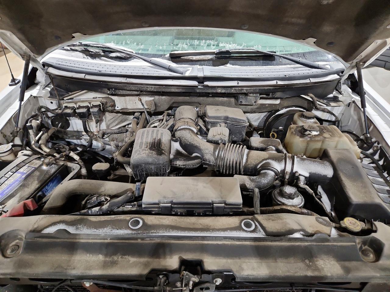 2009 FORD F-150