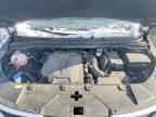 2024 KIA Carnival