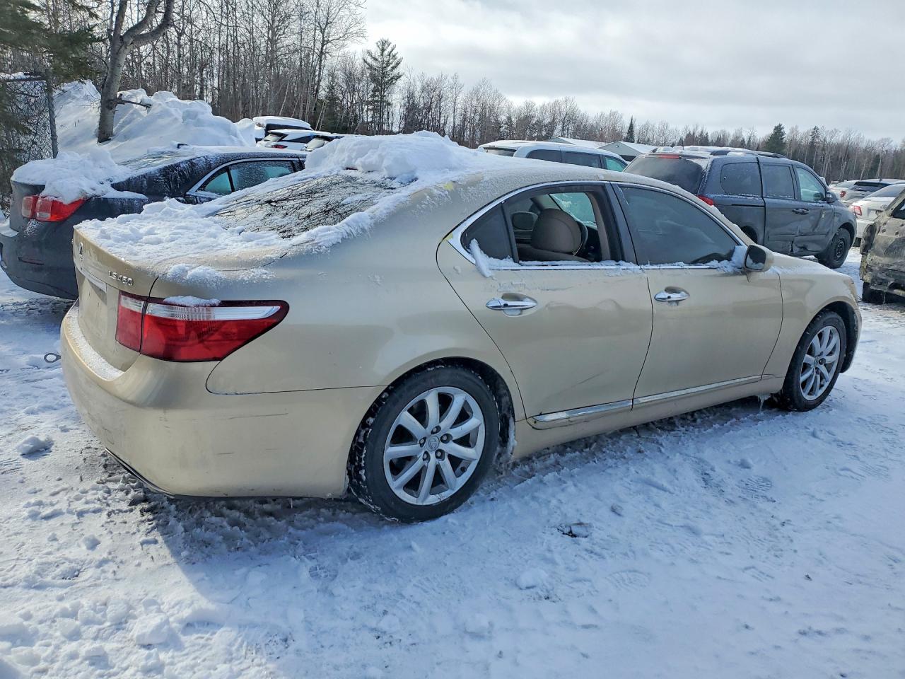 2007 LEXUS LS 460