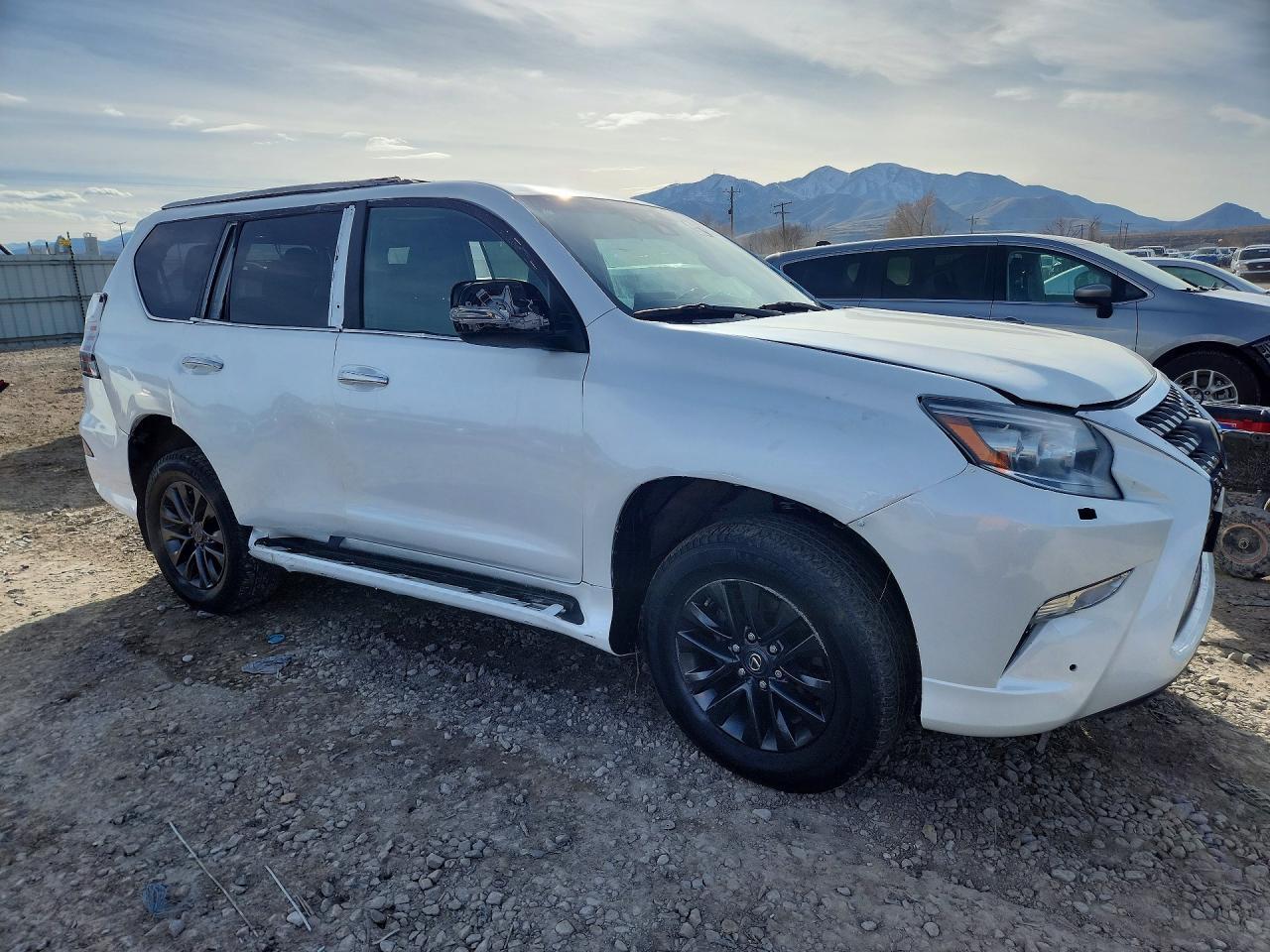 2022 LEXUS GX 460