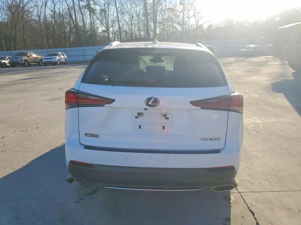 2020 LEXUS NX 300