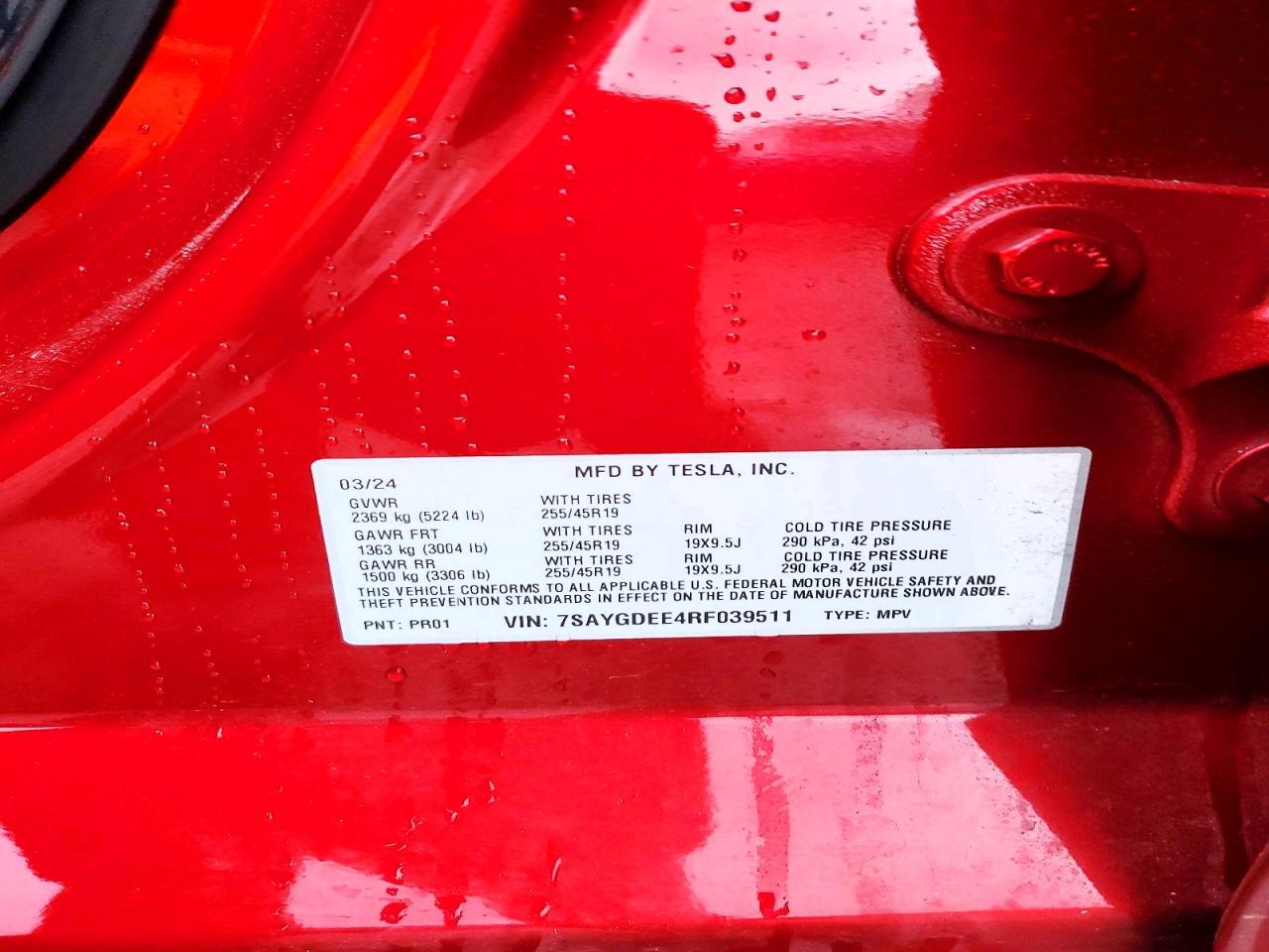 2024 TESLA MODEL Y
