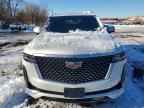 2023 CADILLAC ESCALADE