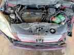 2007 HONDA