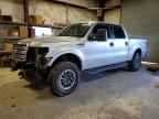 2013 FORD F-150 Lightning