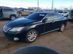 2011 LEXUS ES 350