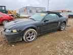 2003 FORD MUSTANG