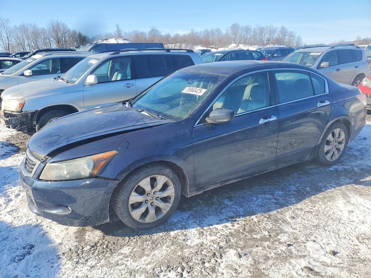 2010 HONDA ACCORD