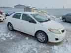 2009 TOYOTA COROLLA