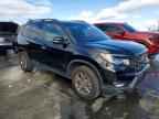 2025 HONDA Passport