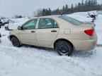 2008 TOYOTA COROLLA